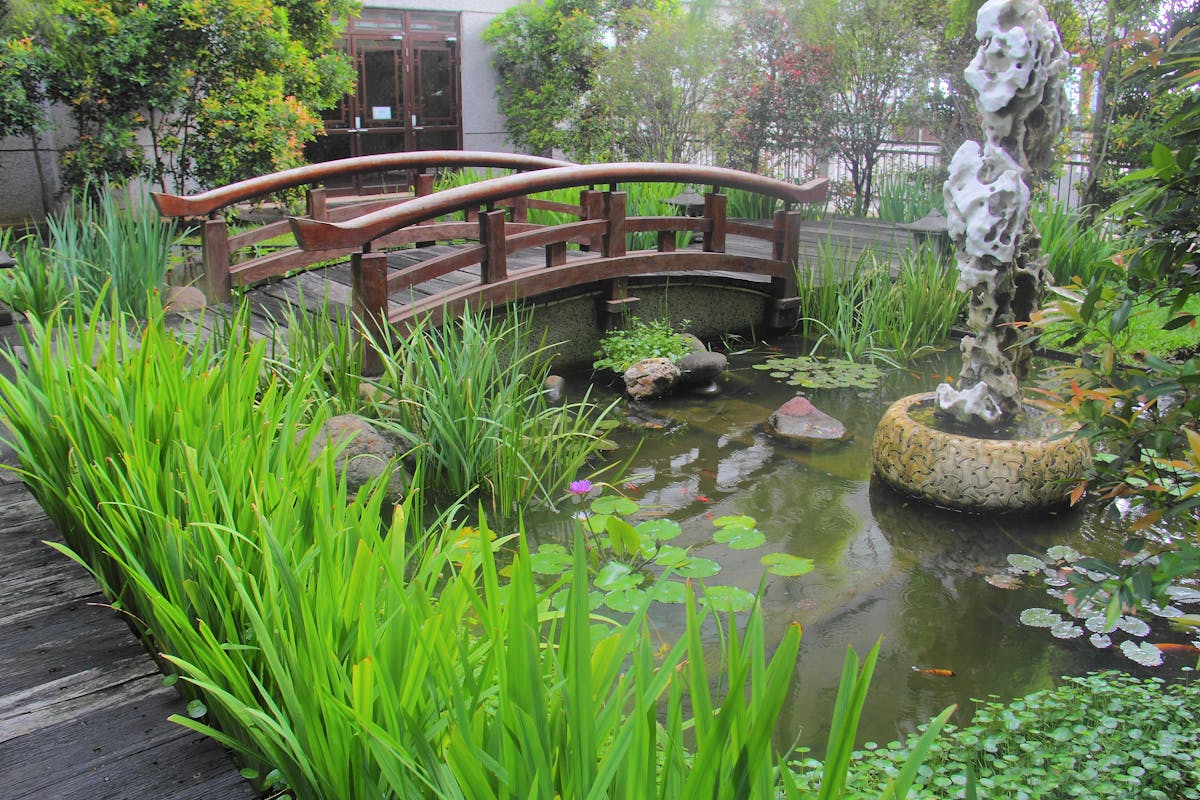 Professional solar energy installation services